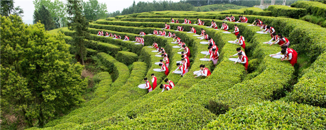 QQ截图20170504165315.png QQ截图20170504165315.png