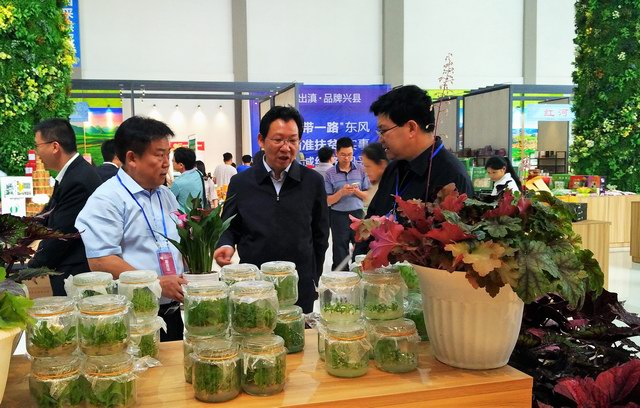 图片其版权均归原作者所有,未经许可严禁转载或建立镜像,如需转载,请与作者或本站联系
